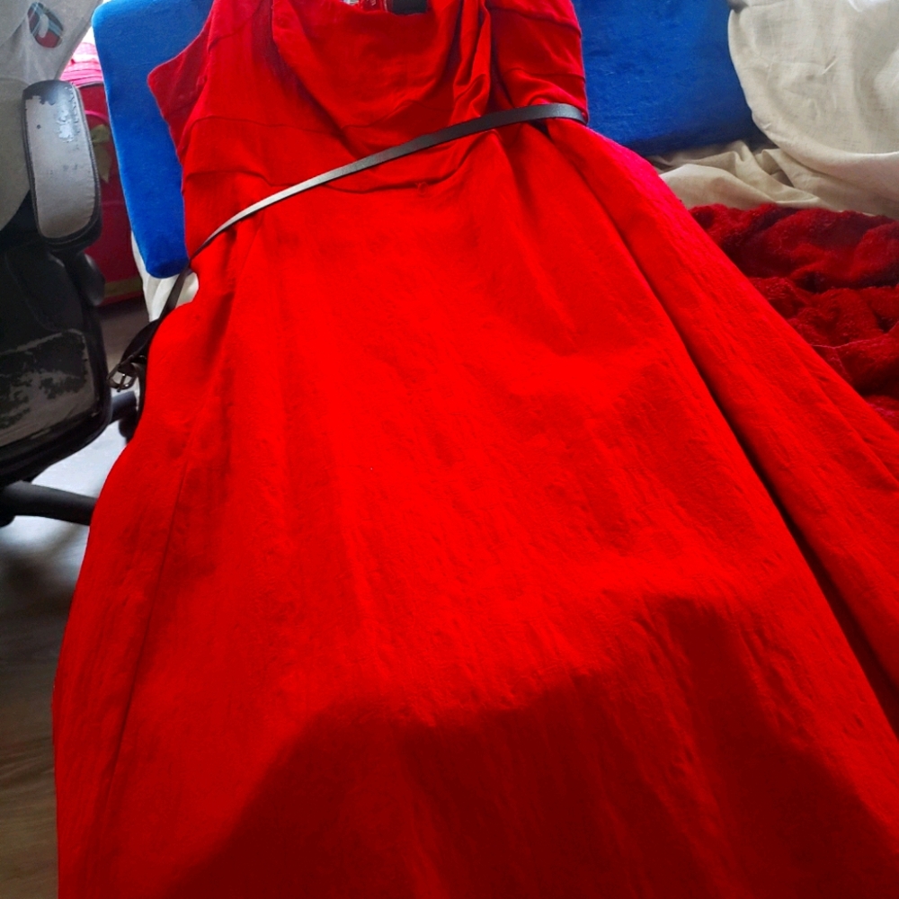 Torrid dress